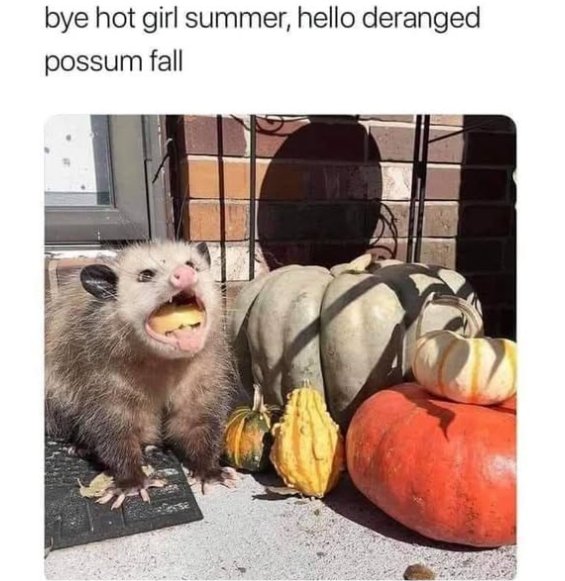 hot girl summer majorgeeks.jpg
